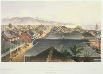 City of Kingston from the Commercial Rooms, Looking Towards the East, plate 17 from 